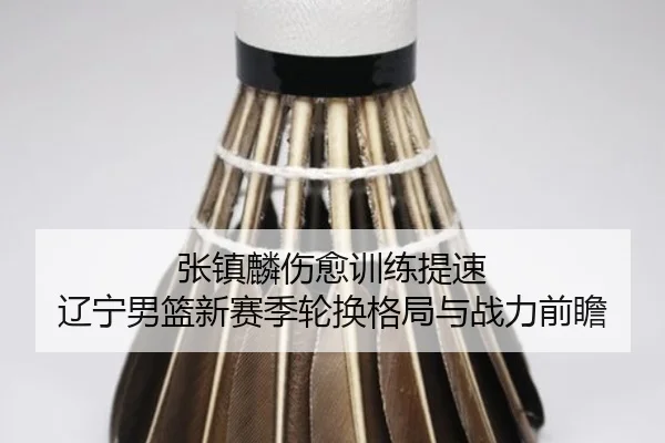 张镇麟伤愈训练提速 辽宁男篮新赛季轮换格局与战力前瞻
